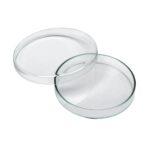 V33 GLASS PETRI CM.10