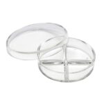 V35 GLASS PETRI 3 COMPARTIMENTS