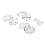 V34 GLASS PETRI 2 COMPARTIMENTS